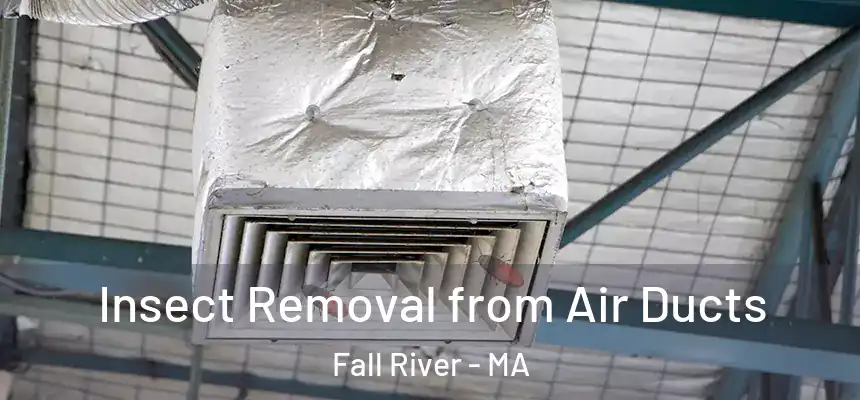 Insect Removal from Air Ducts Fall River - MA