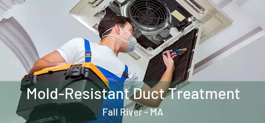  Mold-Resistant Duct Treatment Fall River - MA