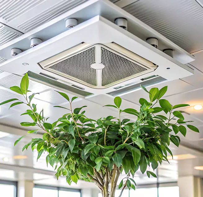 Why Homeowners & Businesses Trust Us in Fall River, MA